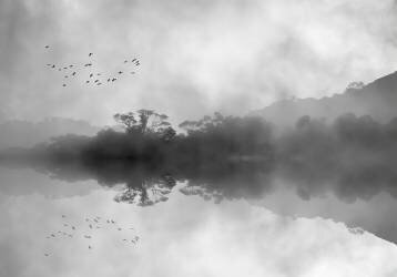 Réflexions brumeuses (Jacqueline Hammer) - Muzeo.com