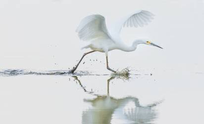 Sans titre (Xiaobing Tian) - Muzeo.com