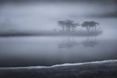 Toki-tumugi (Shota Nagase) - Muzeo.com