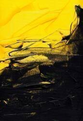 Untitled (Marco Campedelli) - Muzeo.com