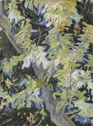 Acacia en fleur (Vincent van Gogh) - Muzeo.com