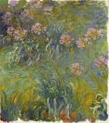Agapanthe (Claude Monet) - Muzeo.com