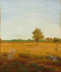 Arbre dans la lande (Odilon Redon) - Muzeo.com