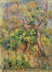 Arbres (Auguste Renoir) - Muzeo.com