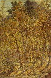 Soleil d'automne (Robert Reid) - Muzeo.com