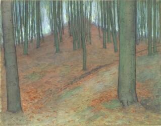 Bois de hêtres (Piet Mondrian) - Muzeo.com
