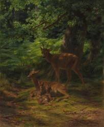 Cerf en repos (Rosa Bonheur) - Muzeo.com