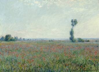 Champ de coquelicots (Claude Monet) - Muzeo.com