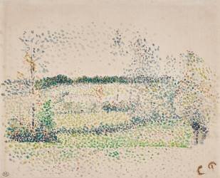 Champs au soleil (Camille Pissarro) - Muzeo.com