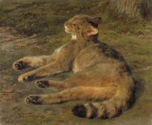 Chat sauvage (Rosa Bonheur) - Muzeo.com