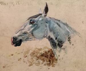 Cheval blanc 'Gazelle' (Henri de Toulouse-Lautrec) - Muzeo.com