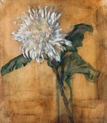 Chrysanthème (Piet Mondrian) - Muzeo.com