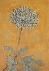 Chrysanthème (Piet Mondrian) - Muzeo.com