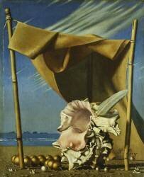 Coquillage et drapé (Pierre Roy) - Muzeo.com