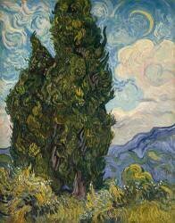 Cyprès (Vincent van Gogh) - Muzeo.com