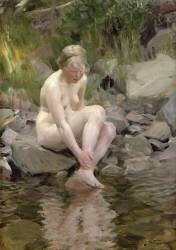 Dagmar (Anders Zorn) - Muzeo.com