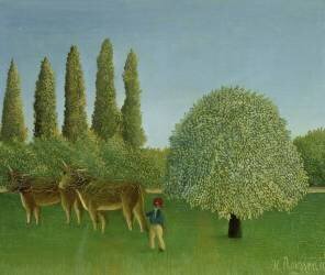 Dans les Champs (Henri Rousseau) - Muzeo.com