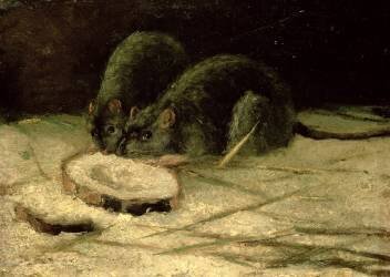 Deux rats (Vincent van Gogh) - Muzeo.com