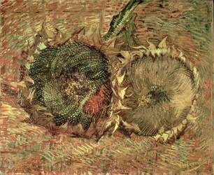 Deux tournesols coupés (Vincent van Gogh) - Muzeo.com