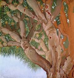 Drago (Nestor de la Torre) - Muzeo.com