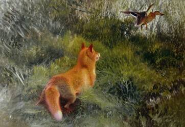 Échapper au renard (Bruno Liljefors) - Muzeo.com