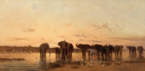 Eléphants d'Afrique (Charles de Tournemine) - Muzeo.com