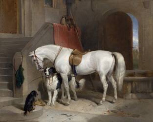 Favoris (Edwin Landseer) - Muzeo.com