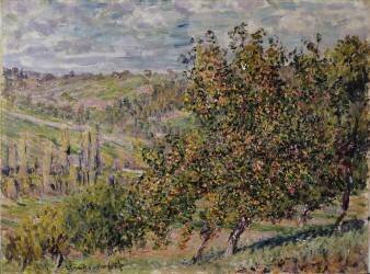 Fleur de pommier (Claude Monet) - Muzeo.com
