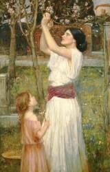 Fleurs d'amandier (John William Waterhouse) - Muzeo.com