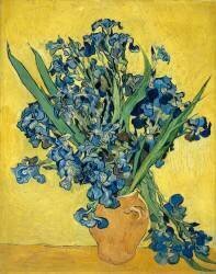 Iris (Vincent van Gogh) - Muzeo.com