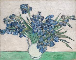 Iris (Vincent van Gogh) - Muzeo.com