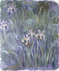 Iris (Claude Monet) - Muzeo.com