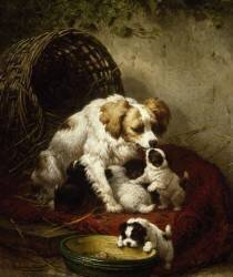 La famille heureuse (Henriette Ronner-Knip) - Muzeo.com