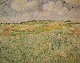La plaine d'Auvers (Vincent van Gogh) - Muzeo.com