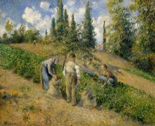 La récolte (Camille Pissarro) - Muzeo.com