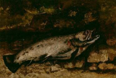 La truite (Gustave Courbet) - Muzeo.com