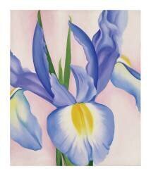 Lavender Iris, 1951 (Georgia O'Keeffe) - Muzeo.com