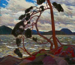 Le vent d'ouest (Tom Thomson) - Muzeo.com