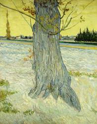 Le vieil arbre (Vincent van Gogh) - Muzeo.com