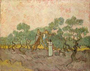 Les cueilleurs d'olives (Vincent van Gogh) - Muzeo.com