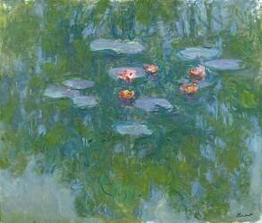 Les Nymphéas (Claude Monet) - Muzeo.com