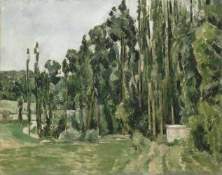 Les peupliers (Paul Cézanne) - Muzeo.com