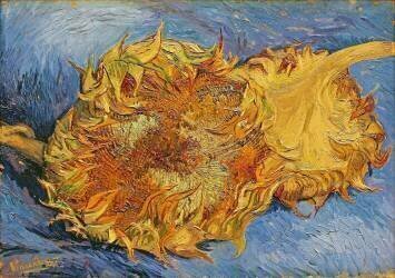Les Tournesols (Vincent van Gogh) - Muzeo.com