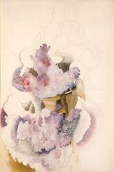 Lilas (Charles Demuth) - Muzeo.com