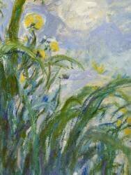 L'Iris jaune (Claude Monet) - Muzeo.com