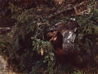 Martre et bécasse (Bruno Liljefors) - Muzeo.com