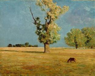 Médoc, l'arbre (Odilon Redon) - Muzeo.com
