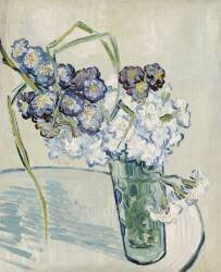Nature morte (Vincent van Gogh) - Muzeo.com