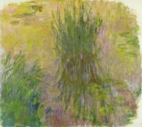 Nénuphars (Claude Monet) - Muzeo.com