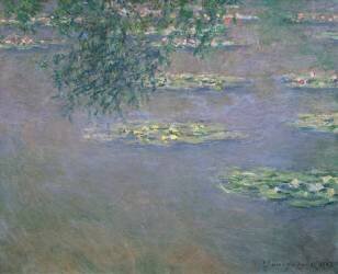 Nénuphars (Claude Monet) - Muzeo.com